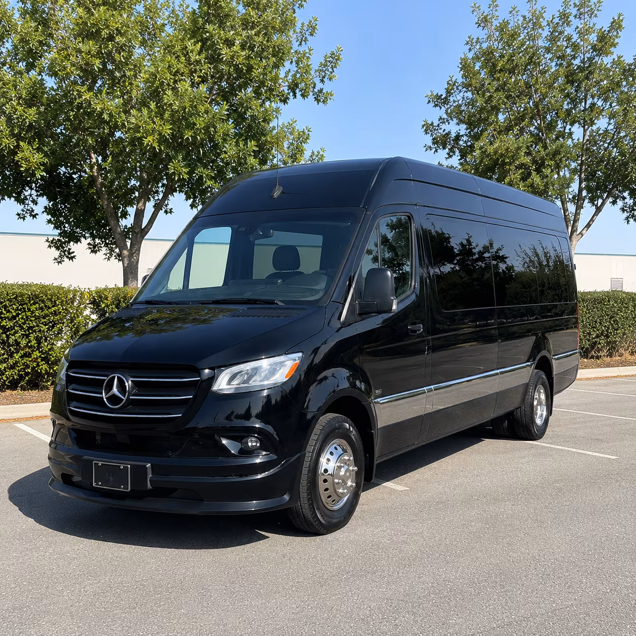 sprinter vans and minibuses for small bowling green church group travel